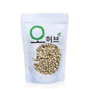 오허브 모링가 씨앗 모링가씨 250g, 1개