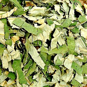 [토종마을] 국산 연잎, 300g, 1개