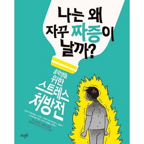 나는 왜 자꾸 짜증이 날까:중학생을 위한 스트레스 처방전, 얼 힙, 뜨인돌