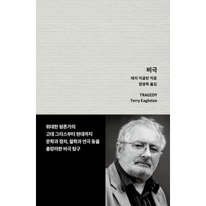 비극:위대한 평론가의 고대 그리스부터 현대까지 문학과 정치 철학과 연극 등을 총망라한 비극 탐구