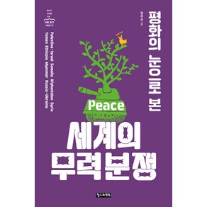 [철수와영희]평화의 눈으로 본 세계의 무력 분쟁 - 철수와 영희를 위한 사회 읽기 시리즈 10, 철수와영희, 정주진