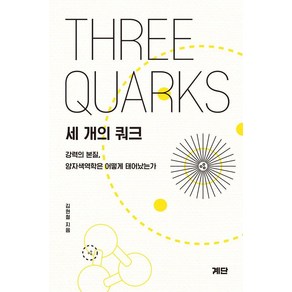 세 개의 쿼크:강력의 본질 양자색역학은 어떻게 태어났는가, 김현철 저, 계단