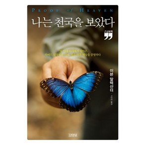 나는 천국을 보았다(큰글자책)