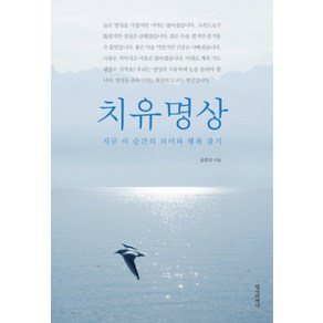 치유명상:지금 이 순간의 의미와 행복 찾기