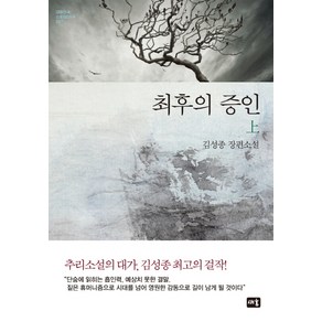 최후의 증인(상):김성종 추리소설, 새움, 김성종 저