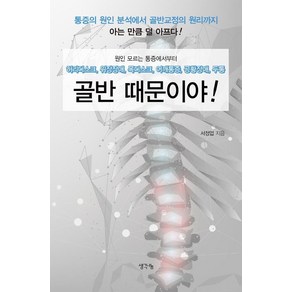 골반 때문이야:원인모르는 통증에서부터 허리디스크 위장장애 목디스크 어깨통증 공황장애 두통