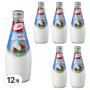 니타 코코넛밀크 플러스 위드 나타드코코, 290ml, 12개