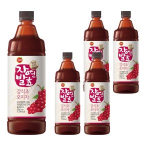진미 3년숙성 자연발효 감식초 오미자, 950ml, 5개