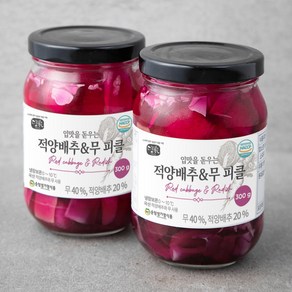 담가 적양배추 무 피클, 300g, 2개