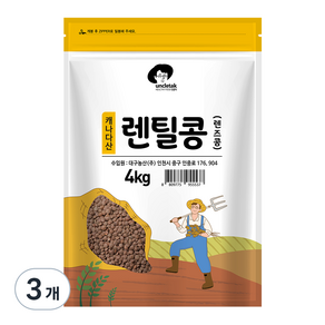 엉클탁 렌틸콩 렌즈콩