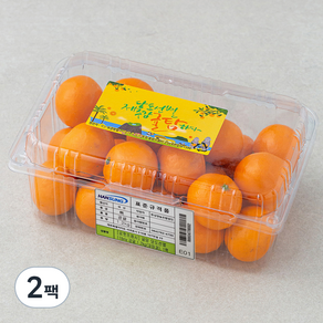귤탐 당도선별 11bix 감귤, 1.2kg(2S~M), 2팩