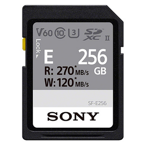 소니 SDXC UHS 2 U3 메모리카드 SF-E256, 256GB, 1개