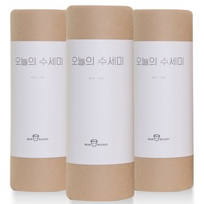 블루버킷 오늘의 수세미 60p, 3개, 베이지