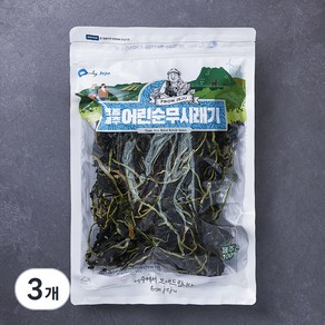 프롬제주 제주산 어린순 무시래기 100g, 3개