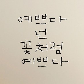 캘리그라피 포인트스티커 예쁘다 넌 꽃처럼, 진회색