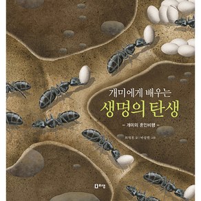 개미에게 배우는 생명의 탄생, 리젬