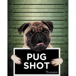 올댓포스터 Rachael Hale Pug Shot Banjo 포스터