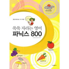 파닉스 800(쑥쑥 자라는 영어), 우성출판사