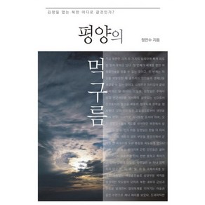 평양의 먹구름:김정일 없는 북한 어디로 갈것인가, 이경, 정만수 저