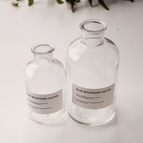 리버그린 시약병 좁은입구 2p세트 250ml + 500ml, 투명