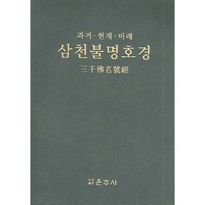 [운주사]삼천불명호경(과거 현재 미래)(가죽), 운주사