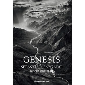 GENESIS : 세바스티앙 살가도 제네시스, 마로니에북스, 세바스티앙 살가도 등저/김영란 역