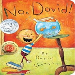 No David! : BOARDBOOK, Blue Sky Pess (AZ)