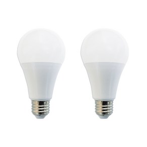 두영 LED BULB 2종 램프 11W, 주광색 + 전구색, 2개