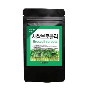 세경팜 새싹 브로콜리 씨앗 300g