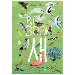 THE BIG BOOK : 새, 보림