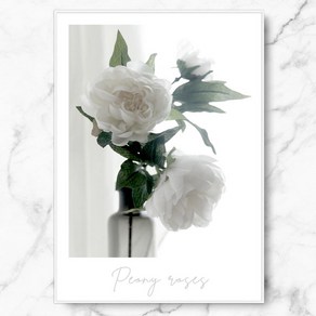 RYMD White Peony Roses 메탈 액자, 화이트