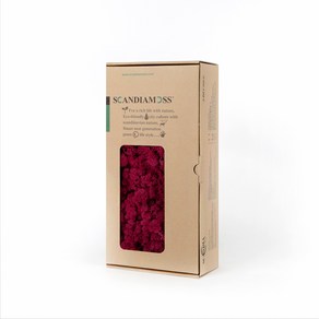 스칸디아모스 이끼 RM500 크림슨 500g, 1개