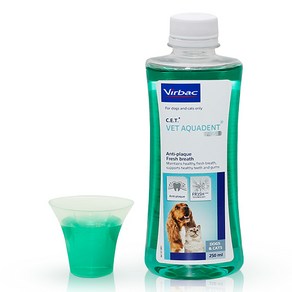 버박 아쿠아덴트 강아지 고양이 양치 입냄새 덴탈워터 마시는 치약, 250ml, 1개