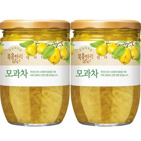 복음자리 모과차, 620g, 1개입, 2개