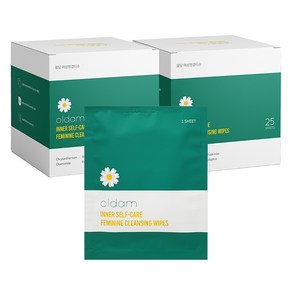 [비건라이프] 올담 여성용 청결티슈 25매, 125g, 2개