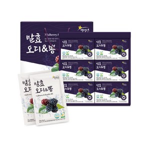 별빛촌 발효 오디 뽕 오디즙 30p