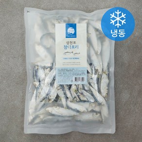 조혜정의멸치연구소 삼천포 참디포리 (냉동), 600g, 1개