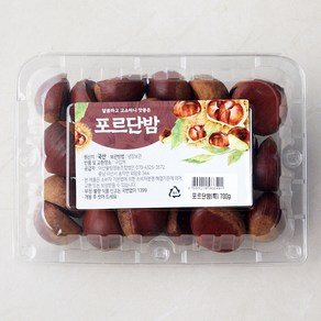 아산율림 포르단밤 특