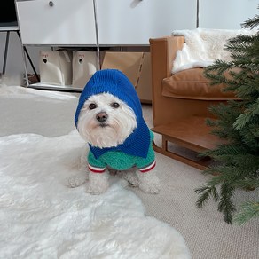 바이담수미 강아지 비비드 바라클라바, 블루, 1개
