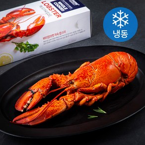 바이킹마켓 캐나다산 자숙 랍스터 (냉동), 800g 내외, 1개