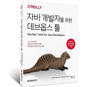 자바 개발자를 위한 데브옵스 툴 : 소스 코드부터 프로덕션 컨테이너까지 데브옵스의 모든 모범 사례, 빛미디어