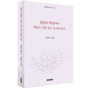 절망의 벼랑에서 새들은 깃을 갈고 둥지를 튼다, 페이퍼로드, 김종두