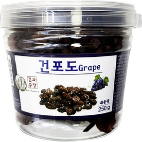 로얄푸드 건포도 용기, 250g, 1개