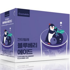 동서웰빙 칸타빌레 블루베리 에이드, 230ml, 10개