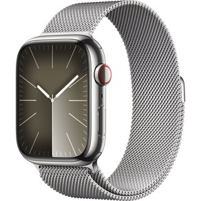 Apple 애플워치 9 GPS+Cellula, 45mm, 스테인리스, 실버 / 실버 밀레니즈 루프, Loop