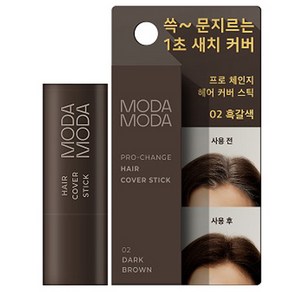 모다모다 프로 체인지 헤어 새치 커버 스틱 3.5g