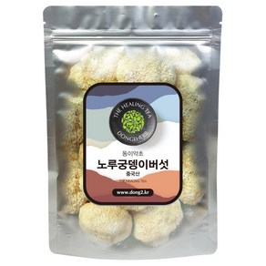 동이약초 중국산 노루궁뎅이버섯, 150g, 1개