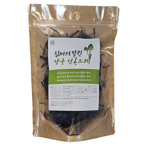 도담들 삶아서 말린 양구 건곤드레, 100g, 1개