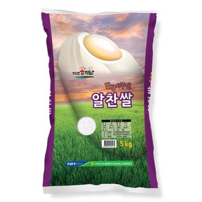 서천군농협 2024년산 햅쌀 자연해답 알찬쌀 백미, 상등급, 5kg, 1개