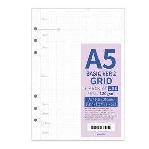 모노라이크 베이직 Ve2 6공 내지 03 그리드, 100개입, 1개